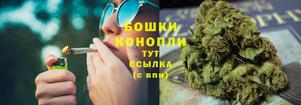 винт Бородино