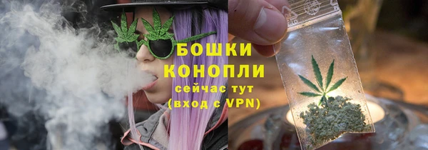 Альфа ПВП Богородицк