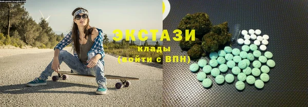 ECSTASY Богородск