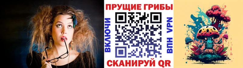 OMG зеркало  Мариинский Посад  Псилоцибиновые грибы Cubensis  как найти закладки 